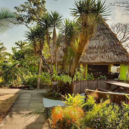 Windy Hill Resort San Ignacio Buitenkant foto