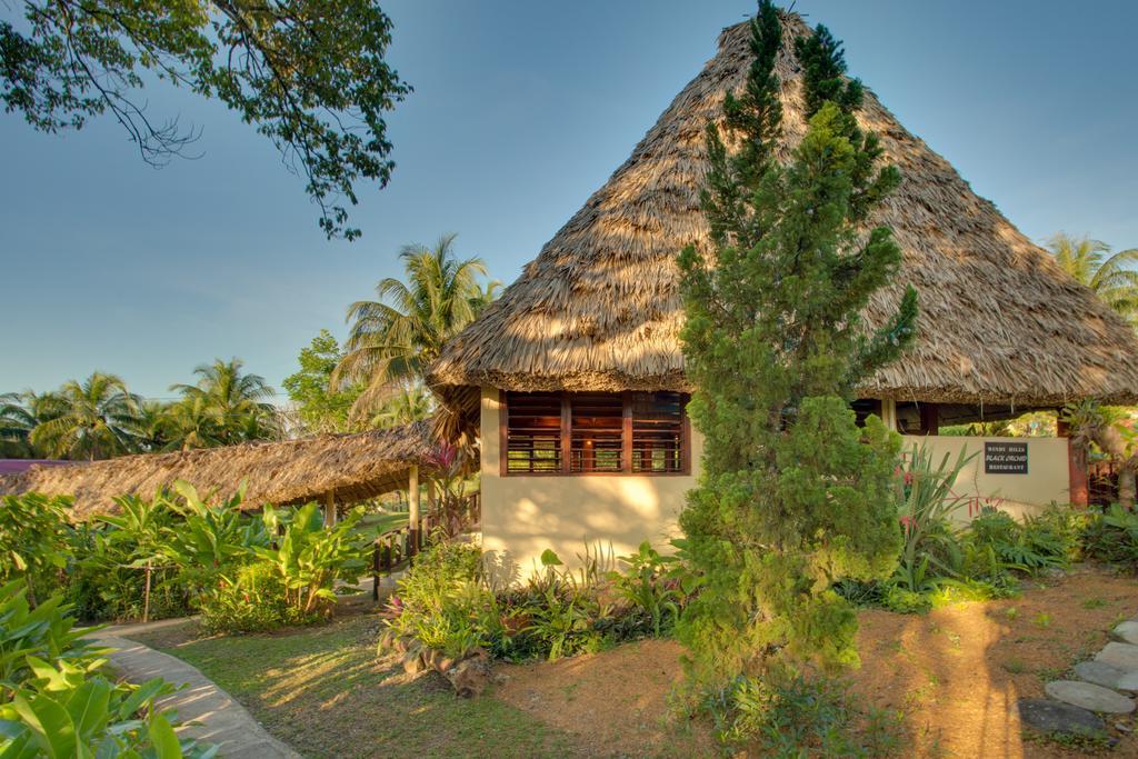 Windy Hill Resort San Ignacio Buitenkant foto