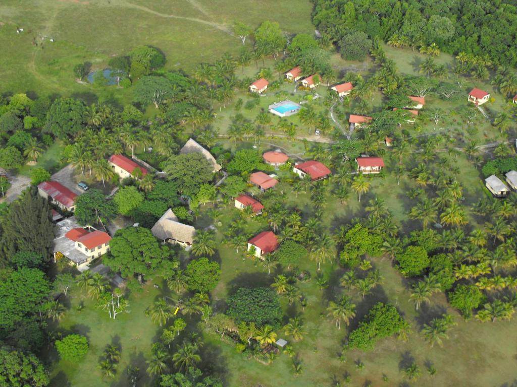 Windy Hill Resort San Ignacio Buitenkant foto