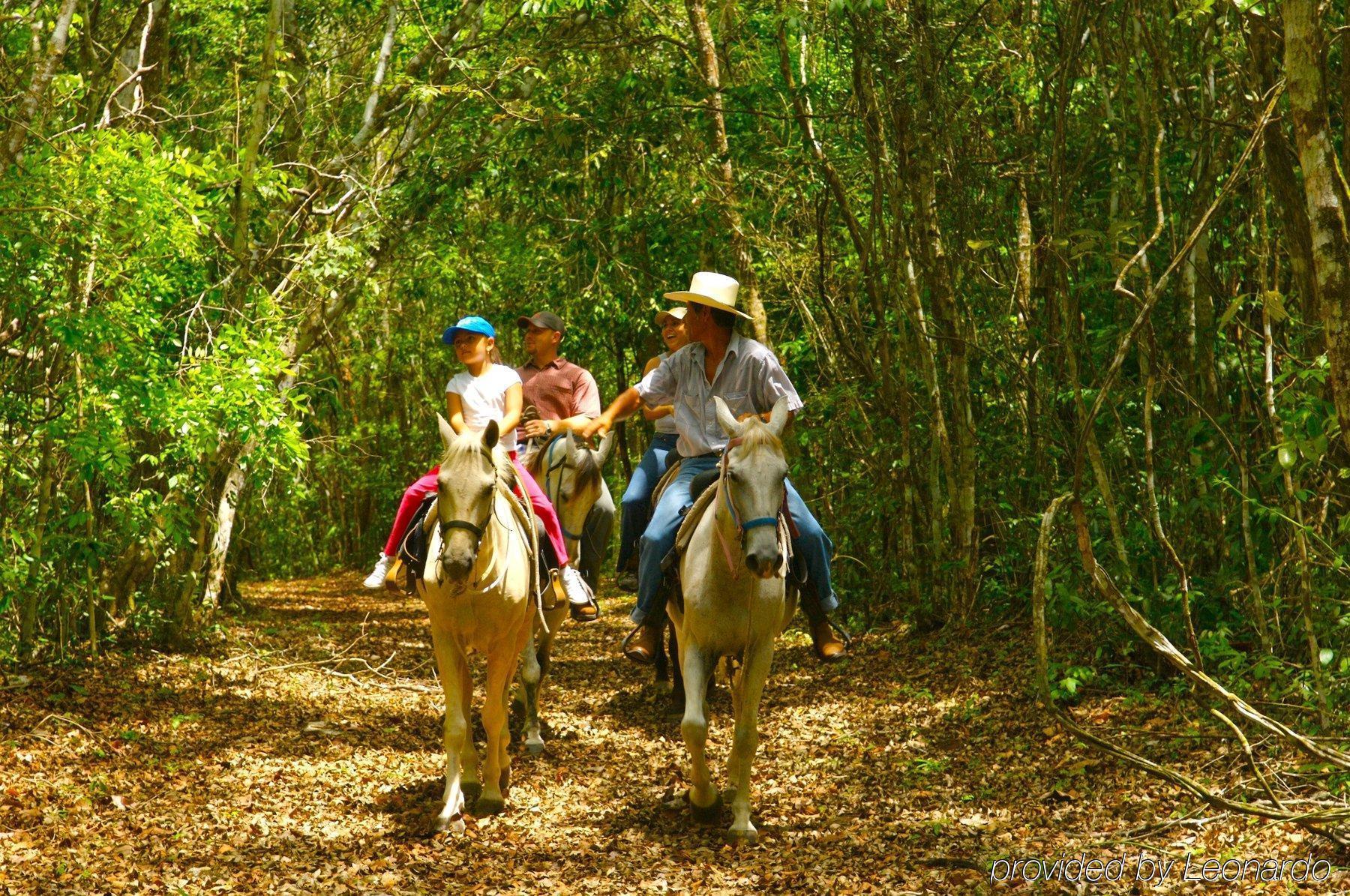 Windy Hill Resort San Ignacio Buitenkant foto